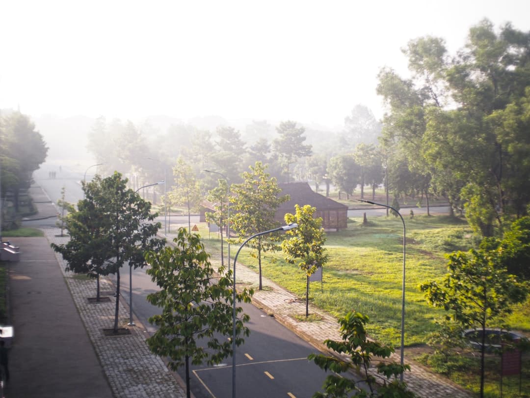 A foggy view of a park and a tennis court