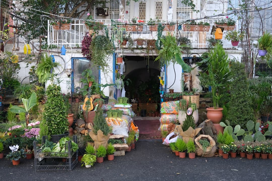 A charming storefront overflowing with potted plants